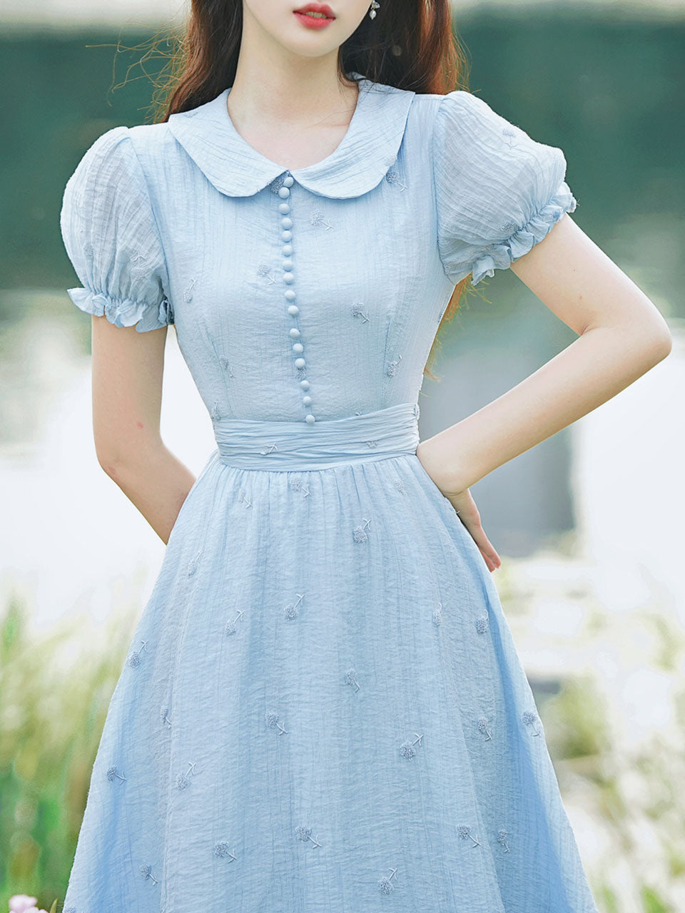 Baby Blue Dandelion Embroidery Peter Pan Collar Vintage Dress